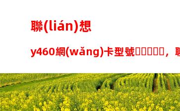 聯(lián)想y460網(wǎng)卡型號，聯(lián)想y460網(wǎng)卡是百兆還是千兆